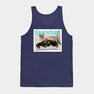 Cute Cats and Kittens Tank Top